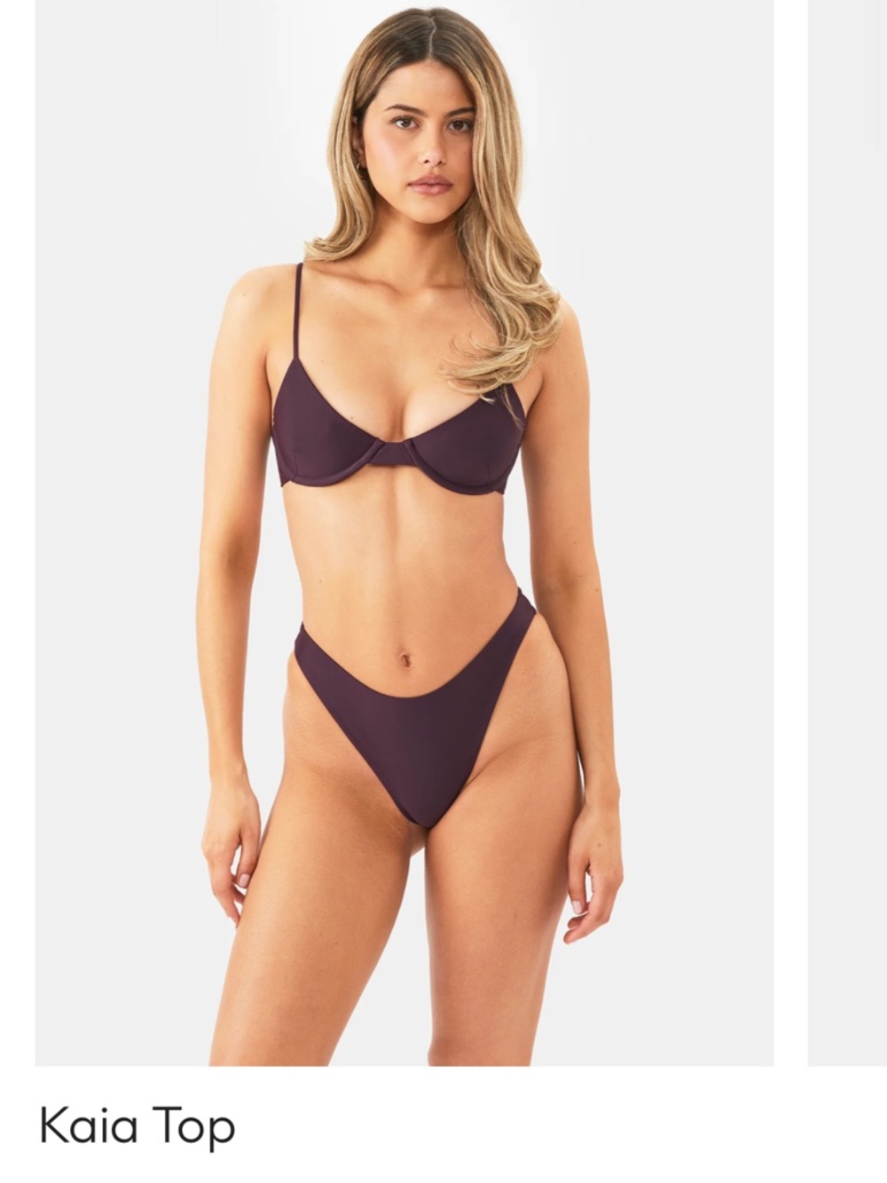 NYUD Underwire Bikini Set in Plum